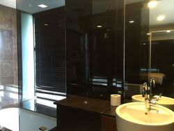 Newton Suites (D11), Apartment #592518921